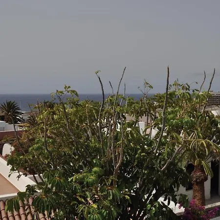 Los Cisnes Encantadora Casa Con Jardin Y Estudio Vista Al Mar El Médano Exterior foto