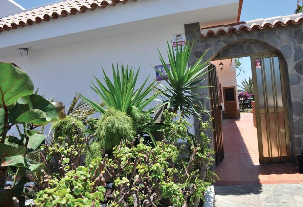 Cisnes Encantadora Casa Con Jardin Y Estudio Vista Al Mar * El Médano