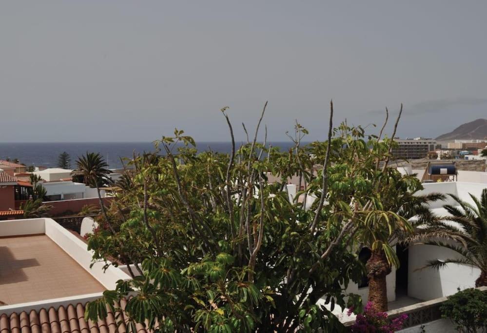 Cisnes Encantadora Casa Con Jardin Y Estudio Vista Al Mar Holiday home *